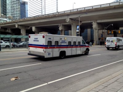 TPS Prisoner Van 785