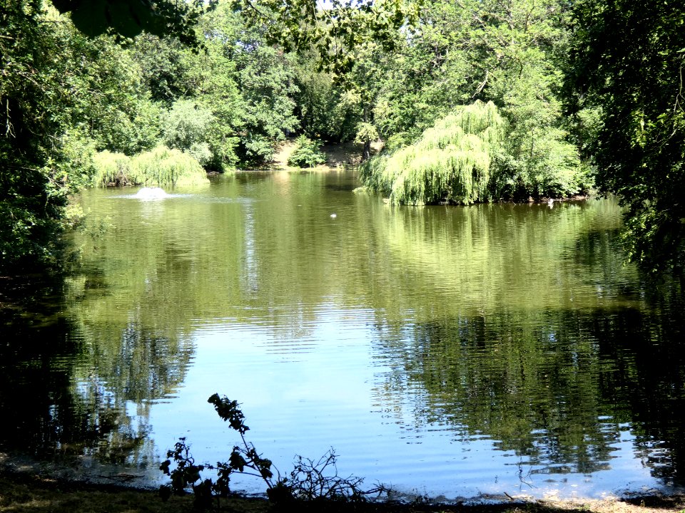 TP Dessau Teich1