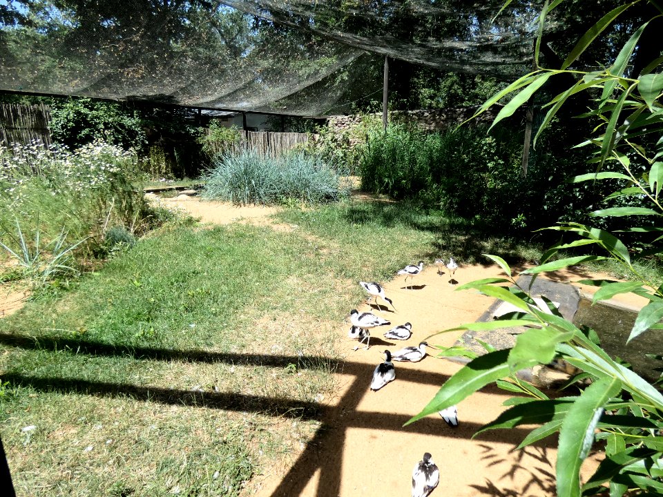TP Dessau Watvogel-Anlage1