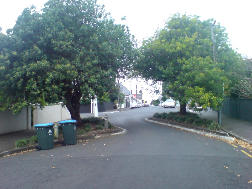 Traffic Chicane Somewhere In Ponsonby