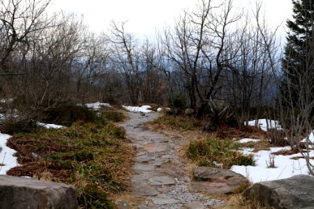Trail from Hornisgrinde to Mummelsee 2020-03-14 01