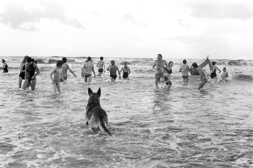 Traditionele nieuwjaarsduik in zee bij Zandvoort, Bestanddeelnr 930-6030
