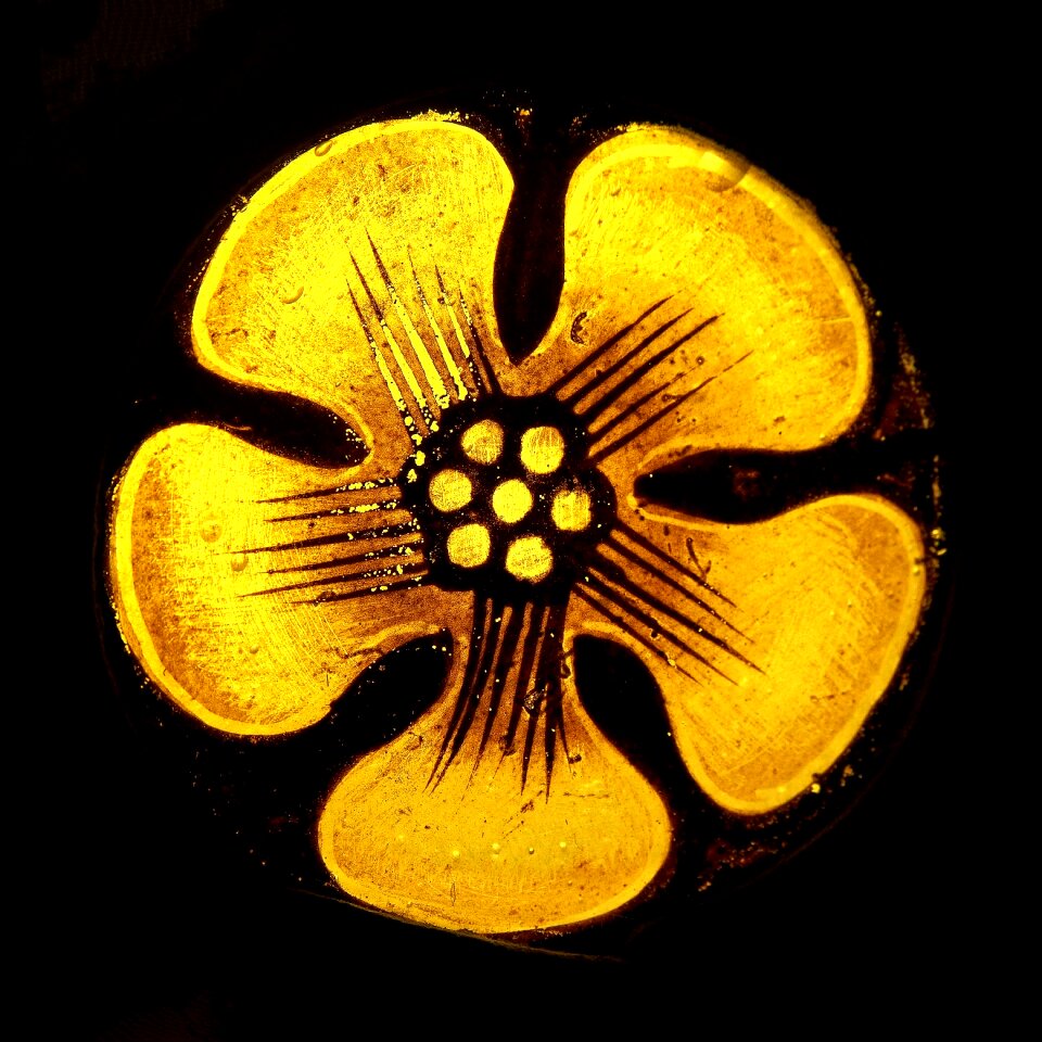 Flower yellow detail