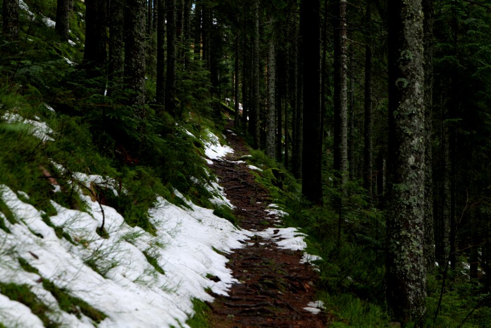 Trail from Stirnleshütte to Überzwercher Berghütte 2020-03-11 09