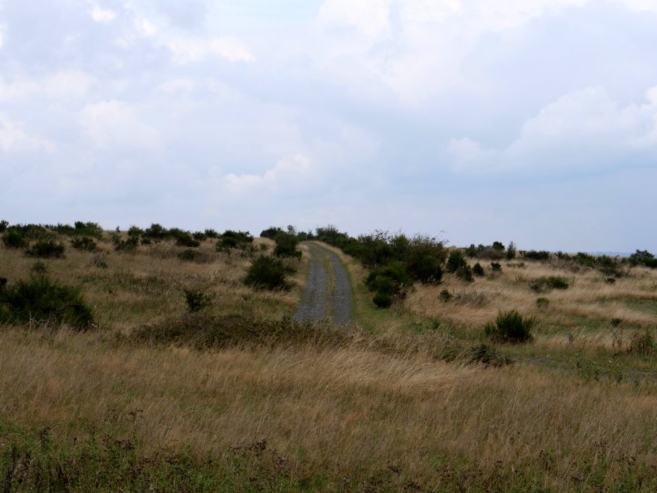Trail from Gierberg to Müsauelsberg in September 2019 34
