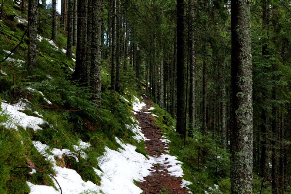Trail from Stirnleshütte to Überzwercher Berghütte 2020-03-11 14