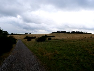 Trail at Dreiborner Hochfläche in September 2019 17