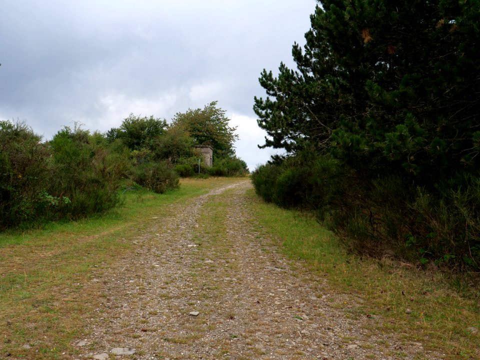 Trail at Dreiborner Hochfläche in September 2019 28