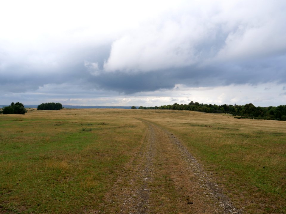 Trail at Dreiborner Hochfläche in September 2019 23