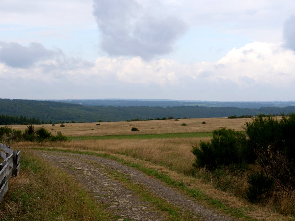 Trail from Gierberg to Müsauelsberg in September 2019 42