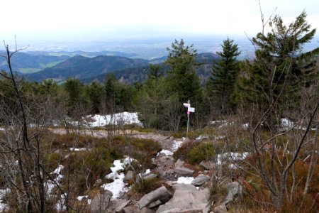 Trail from Hornisgrinde to Mummelsee 2020-03-14 03