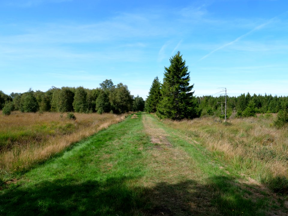 Trail at Imgenbroicher Venn 21
