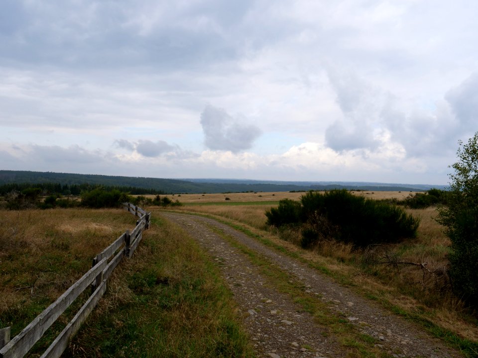 Trail from Gierberg to Müsauelsberg in September 2019 40