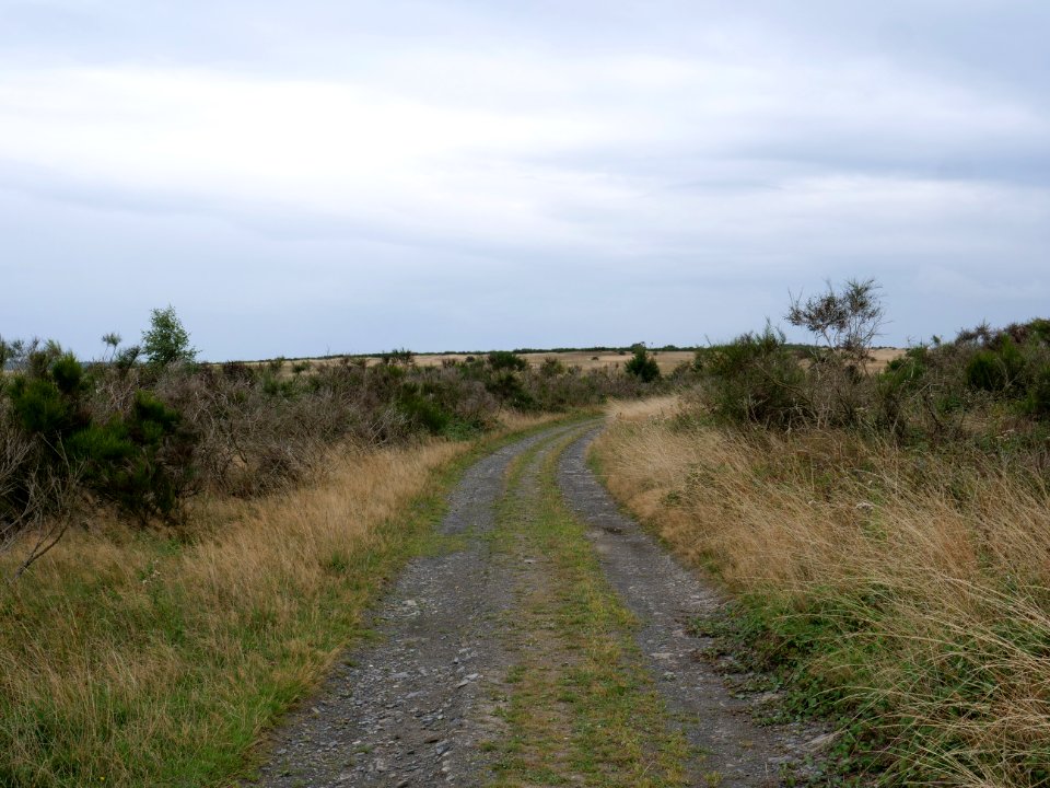 Trail from Gierberg to Müsauelsberg in September 2019 10