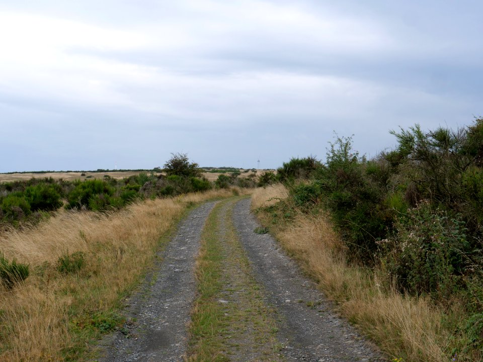Trail from Gierberg to Müsauelsberg in September 2019 08