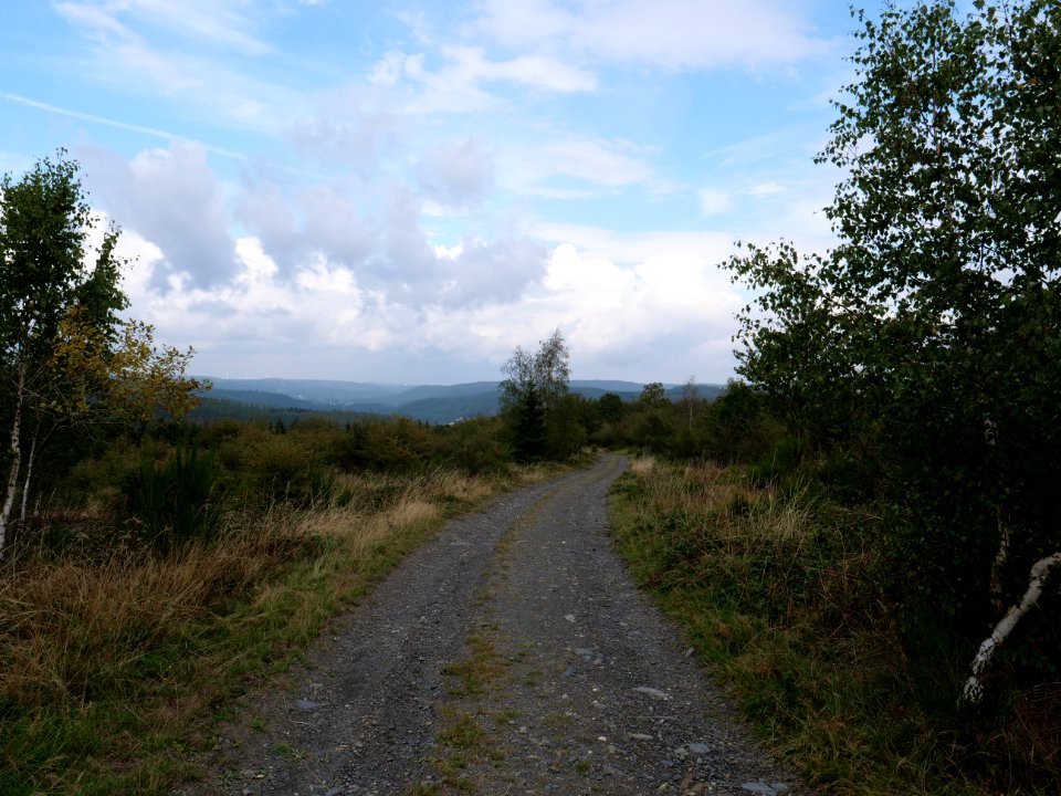 Trail from Gierberg to Müsauelsberg in September 2019 01