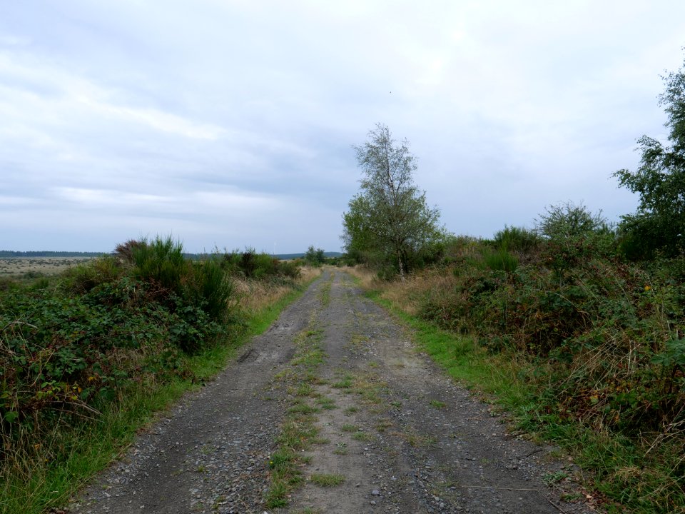 Trail from Gierberg to Müsauelsberg in September 2019 18