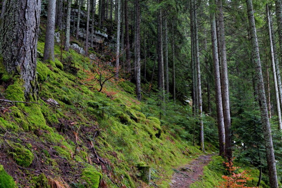 Trail from Stirnleshütte to Überzwercher Berghütte 2020-03-11 03