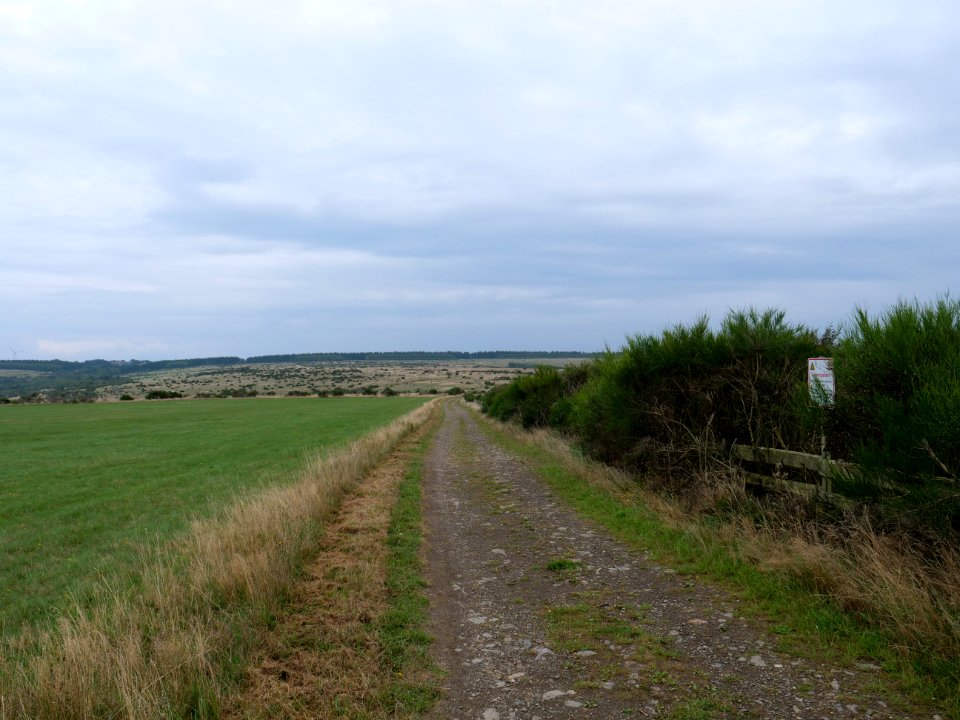 Trail from Gierberg to Müsauelsberg in September 2019 37