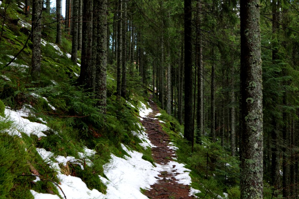 Trail from Stirnleshütte to Überzwercher Berghütte 2020-03-11 13