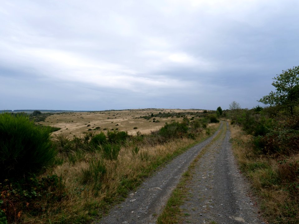 Trail from Gierberg to Müsauelsberg in September 2019 03