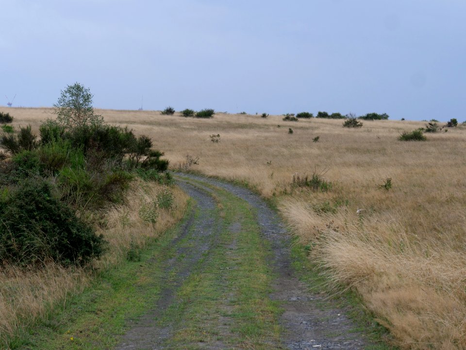Trail from Gierberg to Müsauelsberg in September 2019 14