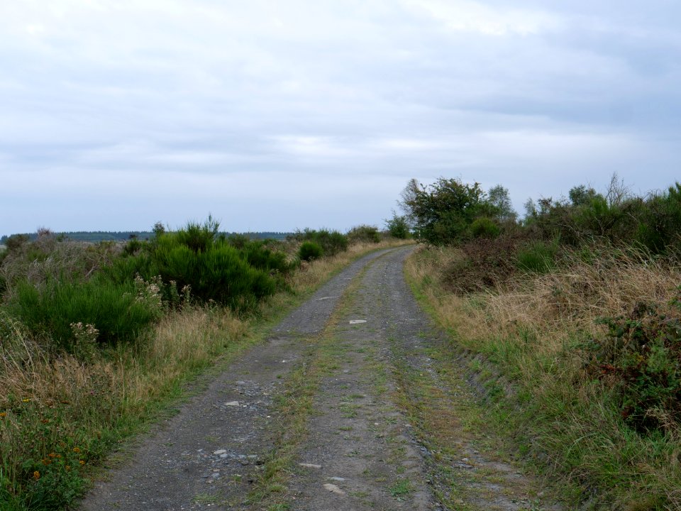 Trail from Gierberg to Müsauelsberg in September 2019 16