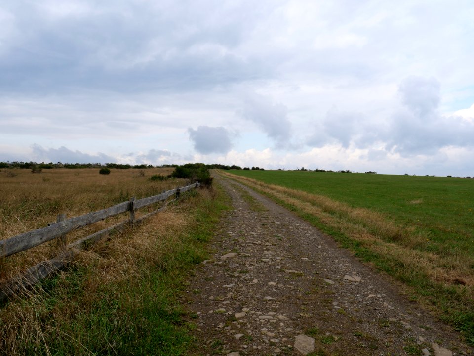 Trail from Gierberg to Müsauelsberg in September 2019 36
