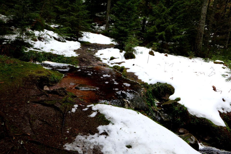 Trail from Stirnleshütte to Überzwercher Berghütte 2020-03-11 22