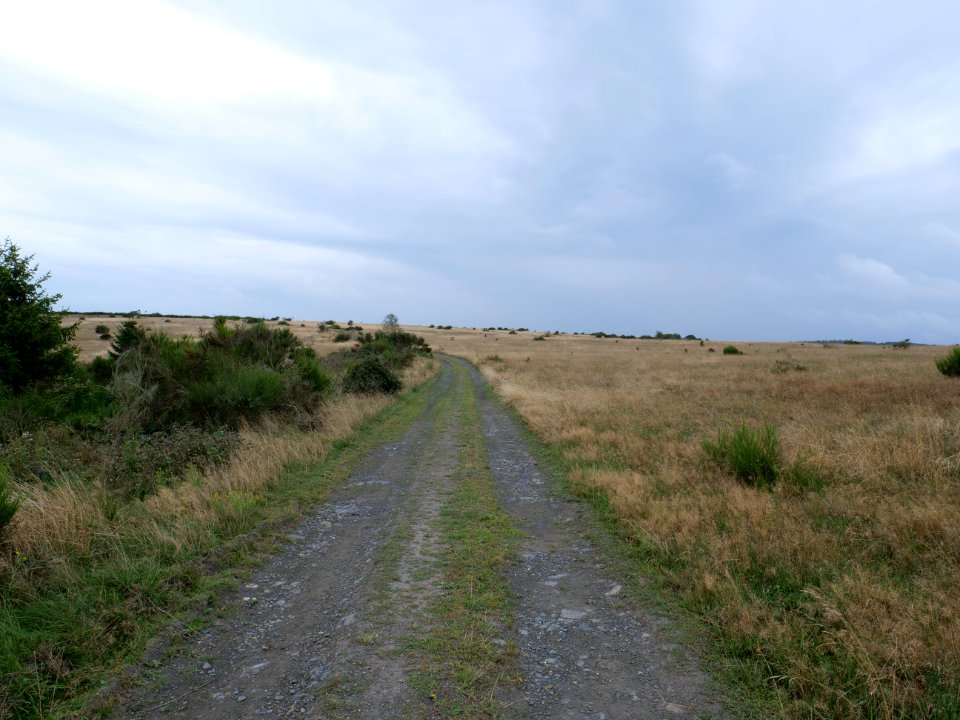 Trail from Gierberg to Müsauelsberg in September 2019 13