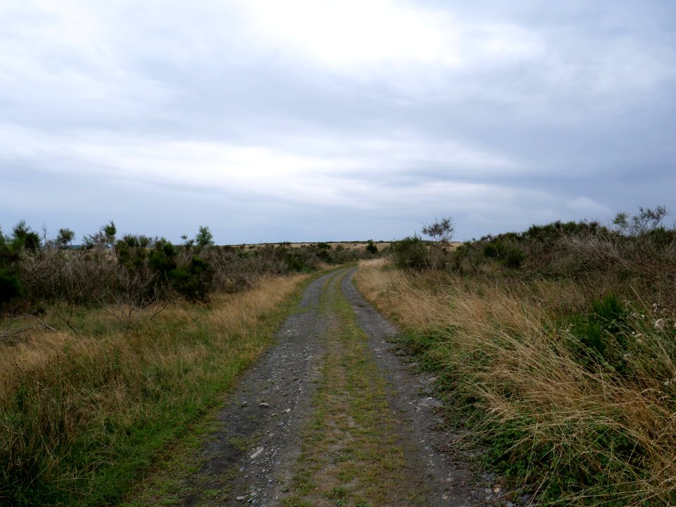 Trail from Gierberg to Müsauelsberg in September 2019 09