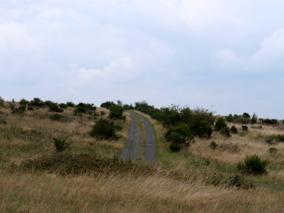 Trail from Gierberg to Müsauelsberg in September 2019 33