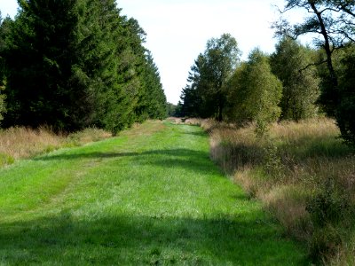 Trail at Imgenbroicher Venn 26