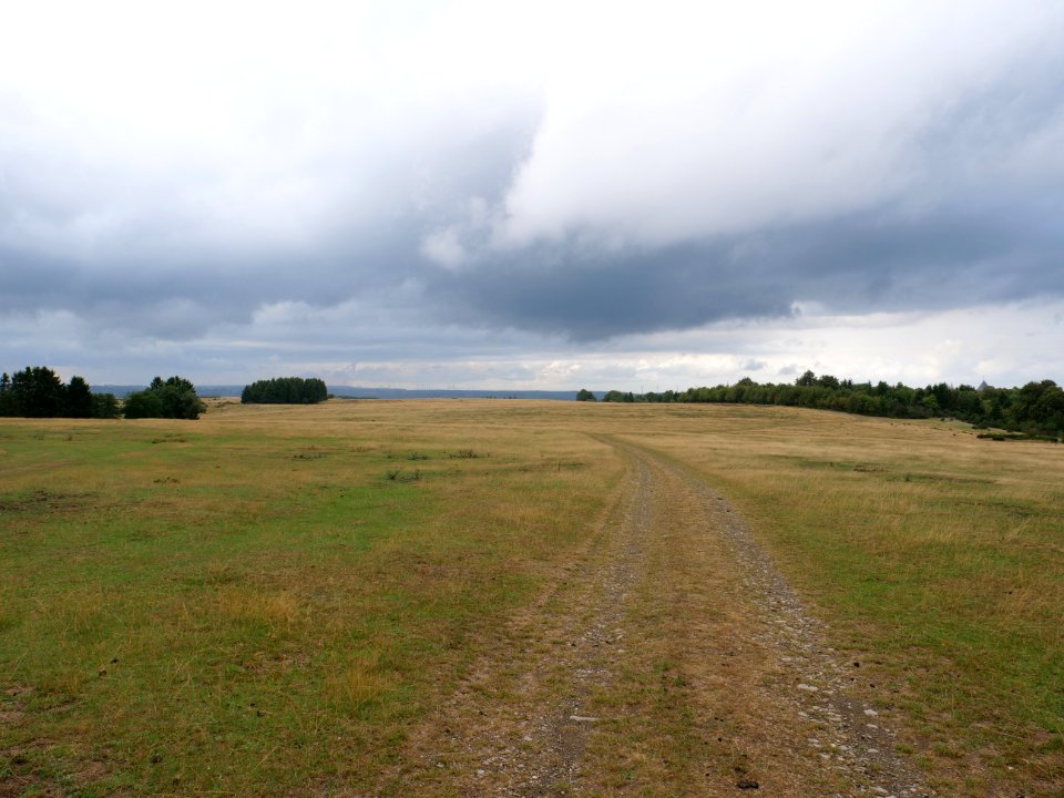 Trail at Dreiborner Hochfläche in September 2019 27