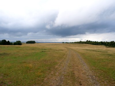Trail at Dreiborner Hochfläche in September 2019 27
