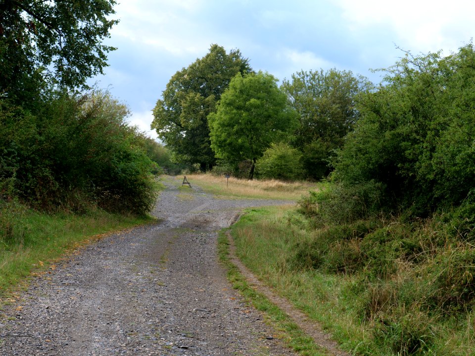Trail at Dreiborner Hochfläche in September 2019 14