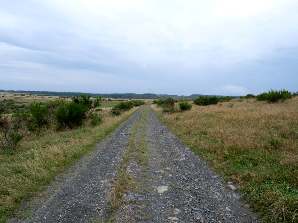 Trail from Gierberg to Müsauelsberg in September 2019 24