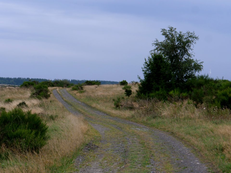 Trail from Gierberg to Müsauelsberg in September 2019 23