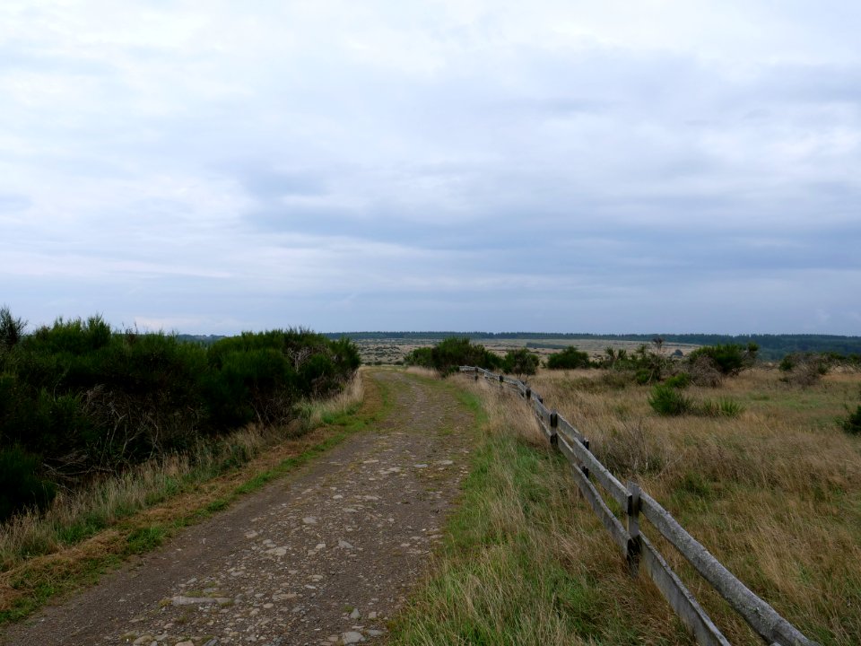 Trail from Gierberg to Müsauelsberg in September 2019 39