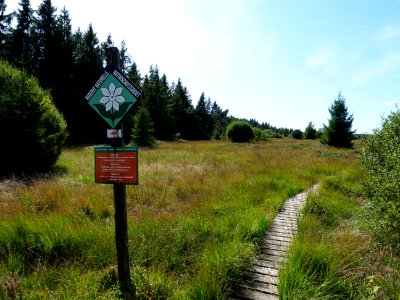 Trail at Imgenbroicher Venn 03