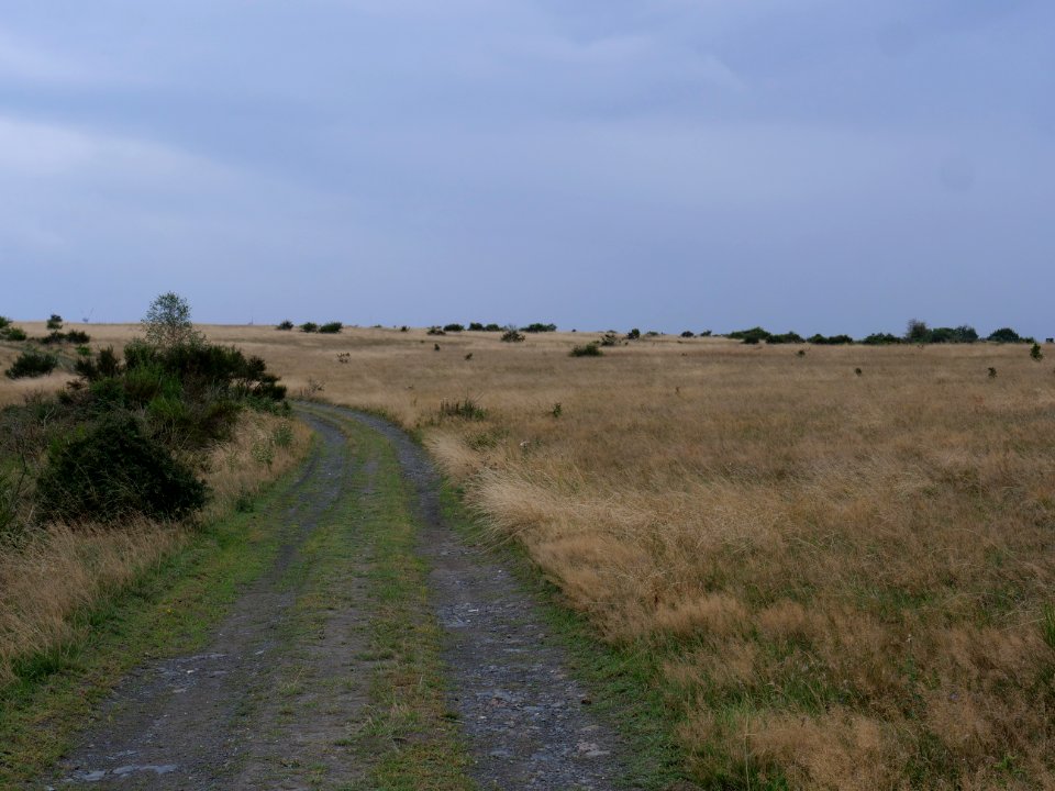Trail from Gierberg to Müsauelsberg in September 2019 15