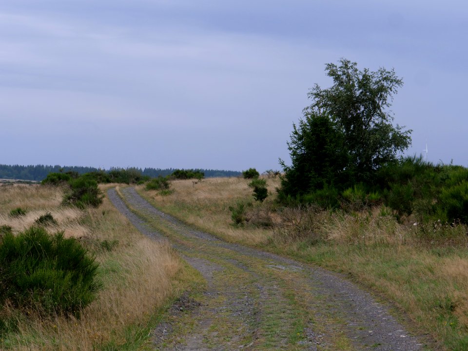 Trail from Gierberg to Müsauelsberg in September 2019 22