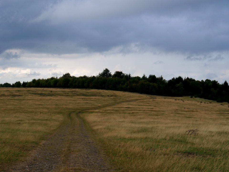 Trail at Dreiborner Hochfläche in September 2019 22