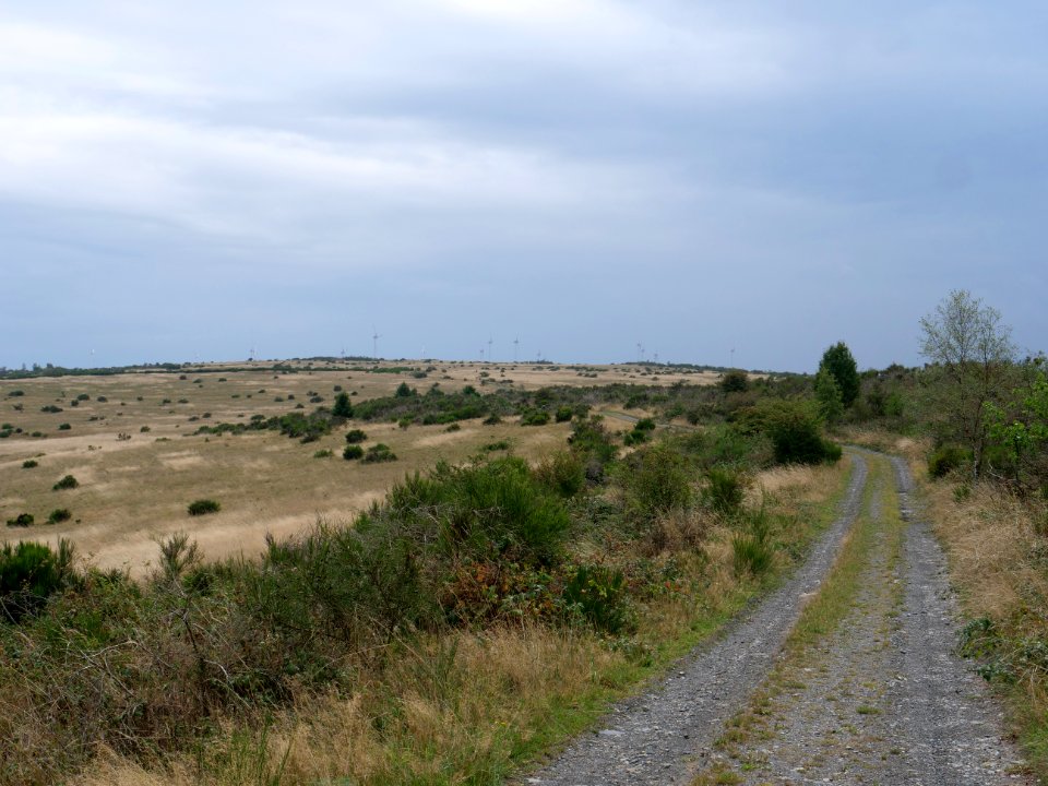 Trail from Gierberg to Müsauelsberg in September 2019 07
