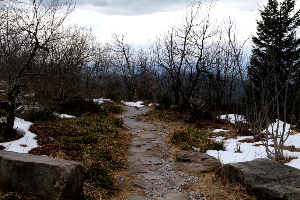 Trail from Hornisgrinde to Mummelsee 2020-03-14 02