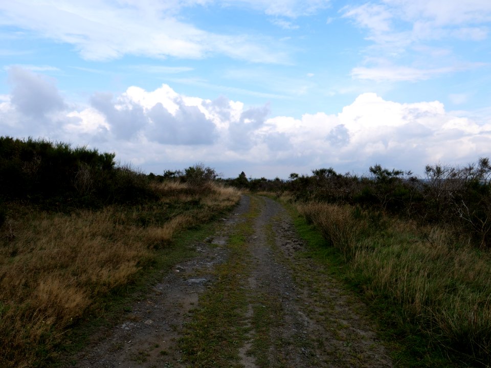 Trail from Gierberg to Müsauelsberg in September 2019 11