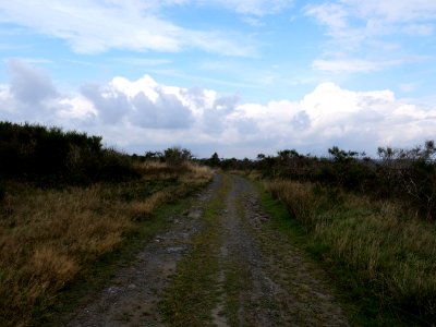 Trail from Gierberg to Müsauelsberg in September 2019 11