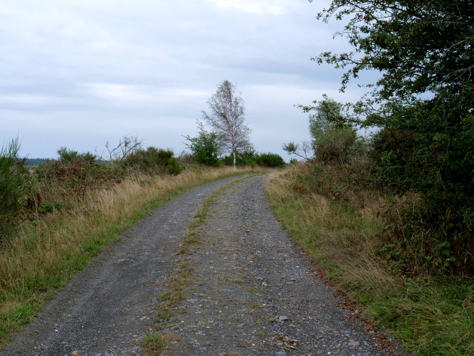 Trail from Gierberg to Müsauelsberg in September 2019 17