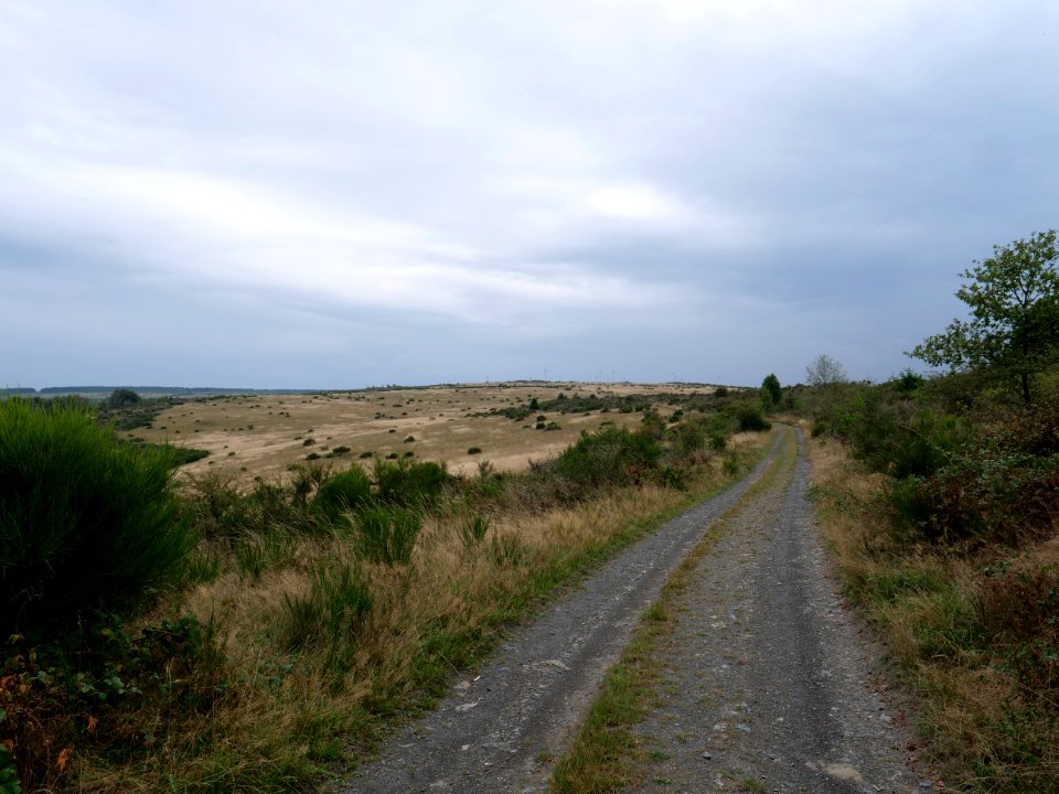 Trail from Gierberg to Müsauelsberg in September 2019 04