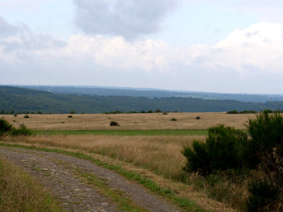 Trail from Gierberg to Müsauelsberg in September 2019 41